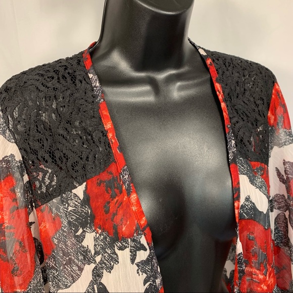 Eye Candy Sheer Floral and Lace Shawl / Coverup - Picture 3 of 8